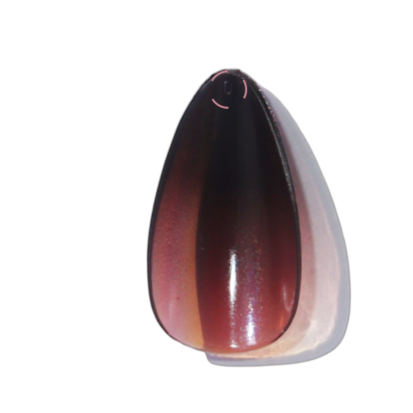 Mysterious | Almond Holographic Brown and Blue Medium Press-on Nails | Brown |Blue - Flower Plum -  - Mysterious | Almond Holographic Brown and Blue Medium Press-on Nails | Brown |Blue - Flower Plum -  - #original_alt_text#